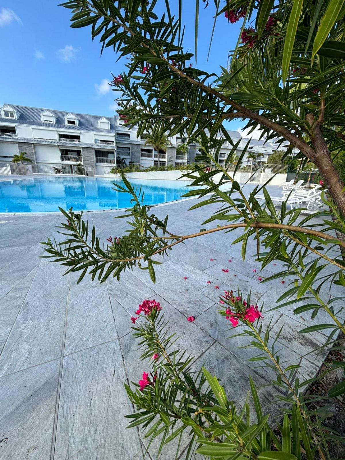 شقة Easy Friendly Sxm كول دي ساك المظهر الخارجي الصورة